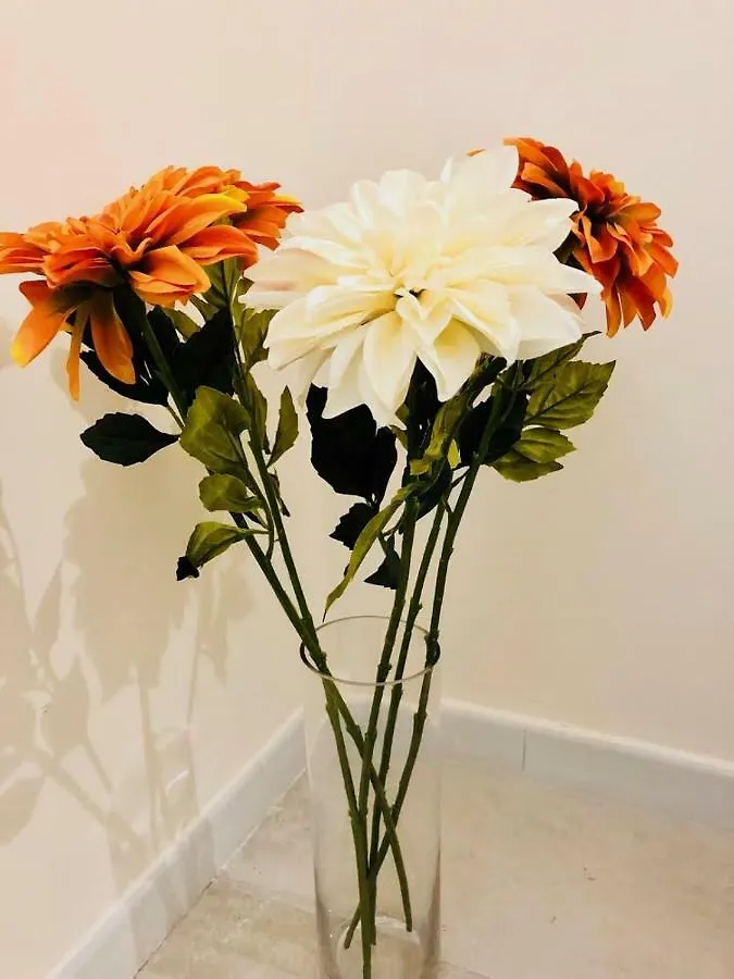 Sogni D'Oro Apartment Bari Italy